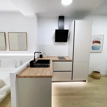 Apartment Loft Carlos Iii L1b